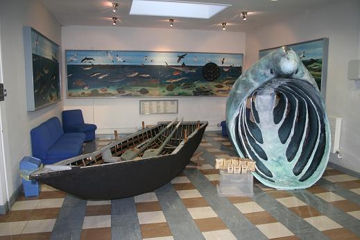 Basking Shark Size